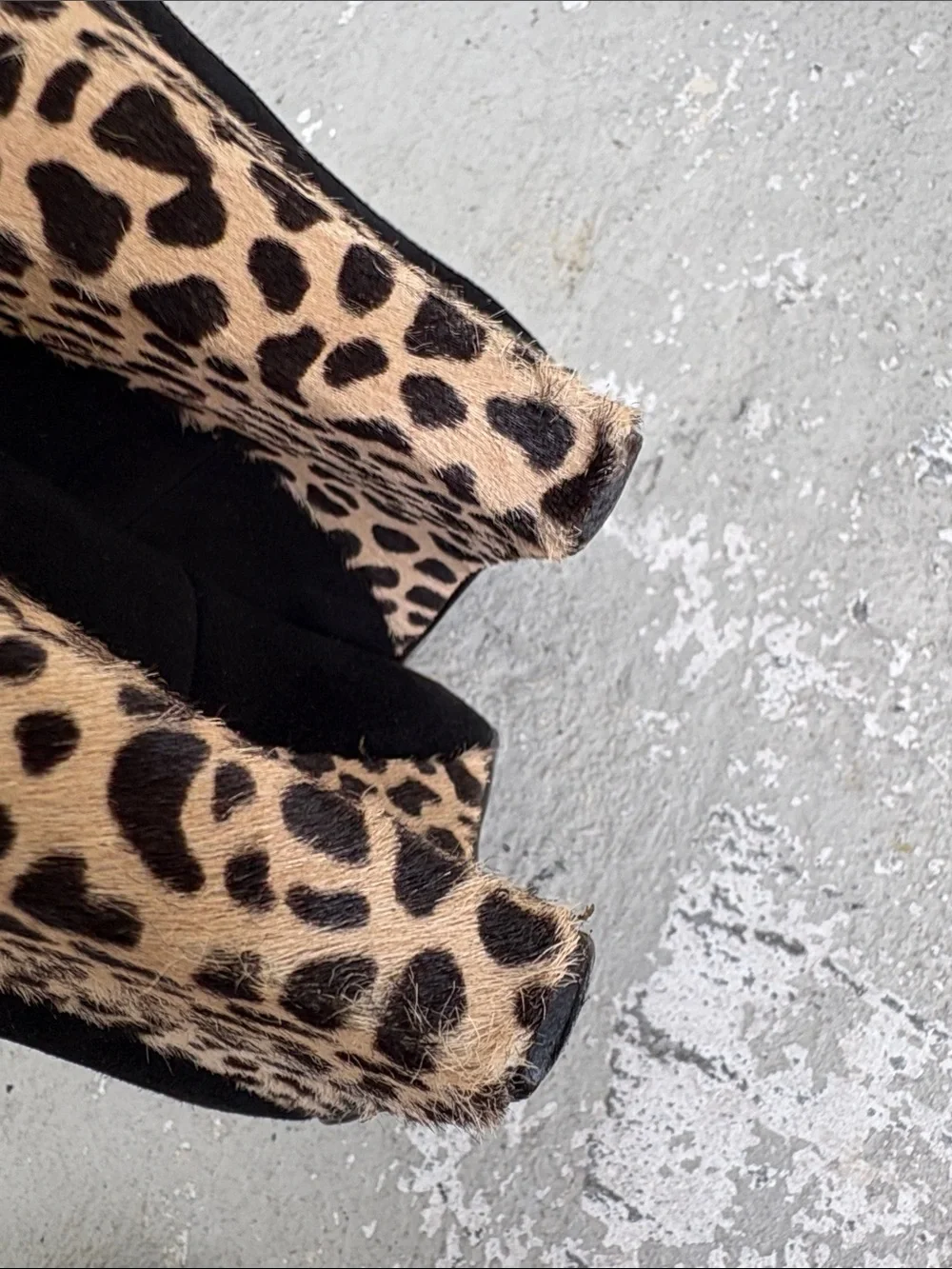 Giuseppe Zanotti suede and pony hair leopard wedges